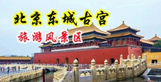 操逼露脸播放中国北京-东城古宫旅游风景区